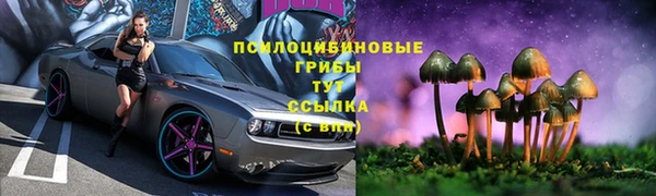 спиды Новодвинск
