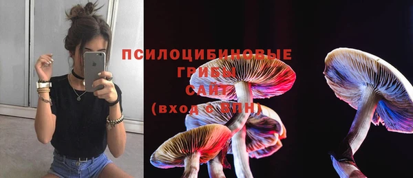 мефедрон мука Новозыбков