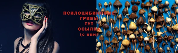 a pvp Новокубанск