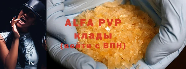 спиды Новодвинск