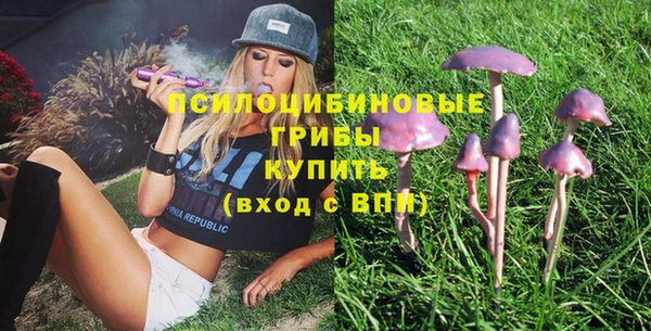 спиды Новодвинск