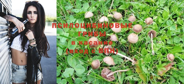 спиды Новодвинск