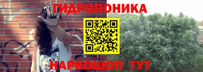 хмурый Конаково