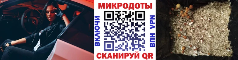 Галлюциногенные грибы GOLDEN TEACHER  Нижний Тагил 
