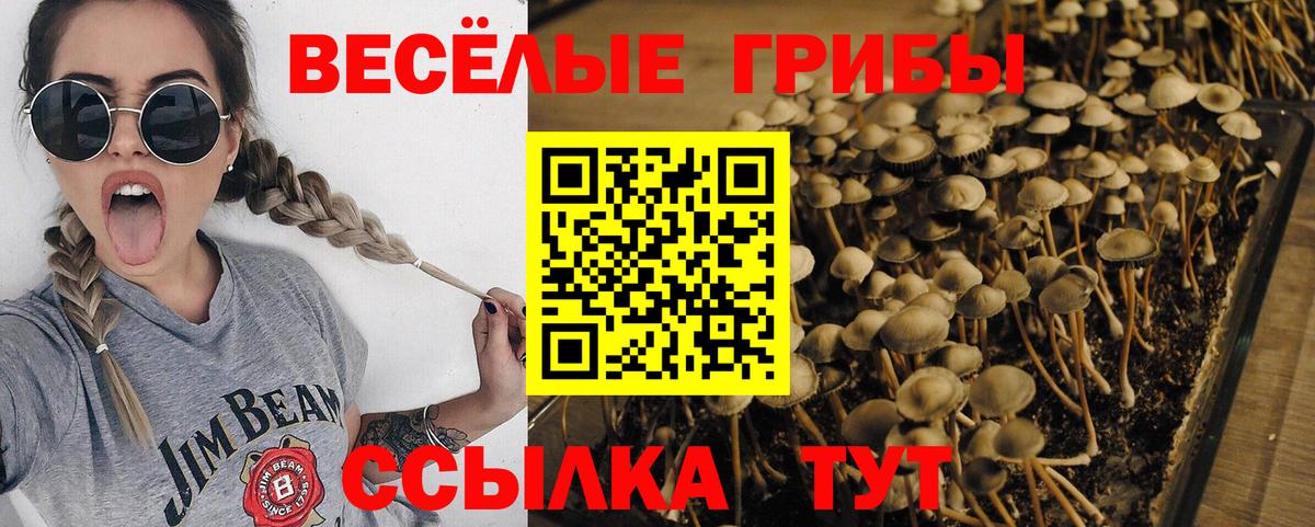 Галлюциногенные грибы прущие грибы  Псилоцибиновые грибы мухоморы  Вход с VPN  Нижний Тагил 