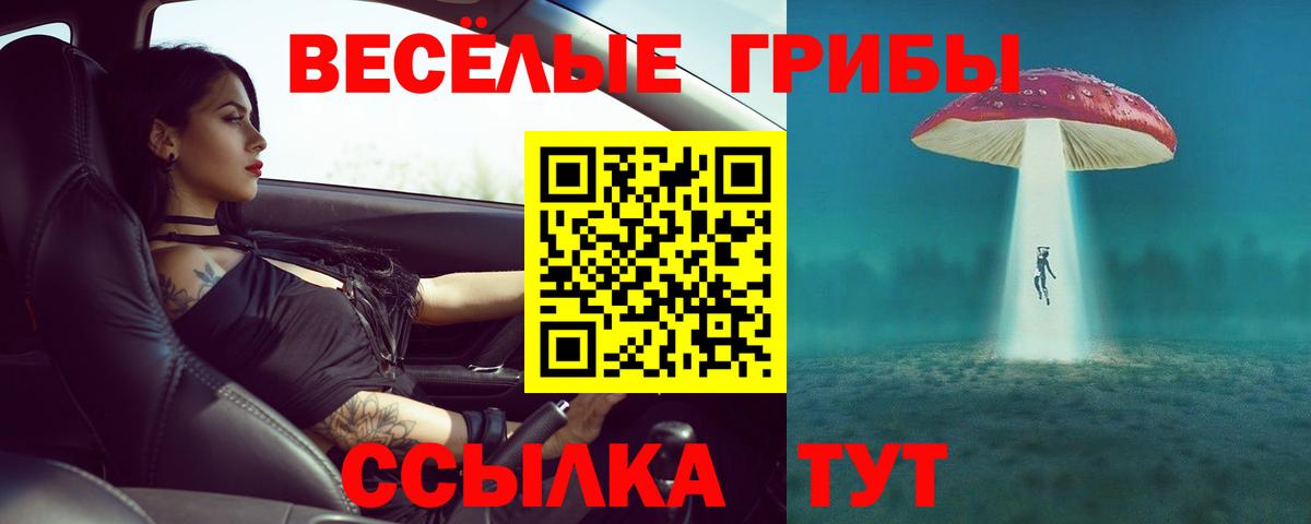 Галлюциногенные грибы Magic Shrooms Нижний Тагил